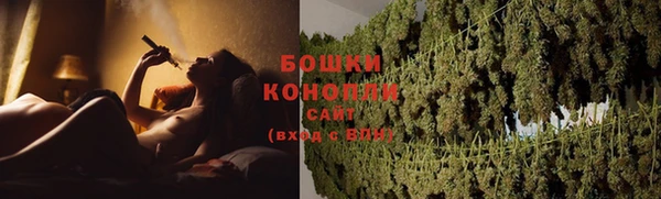 стафф Осташков