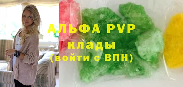 молекула духа Бородино