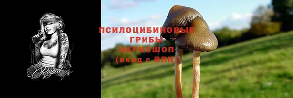 шишки Осинники