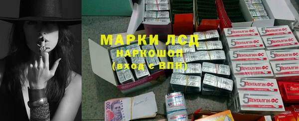 стафф Осташков