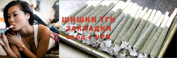 шишки Осинники