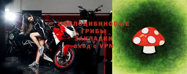 стафф Осташков