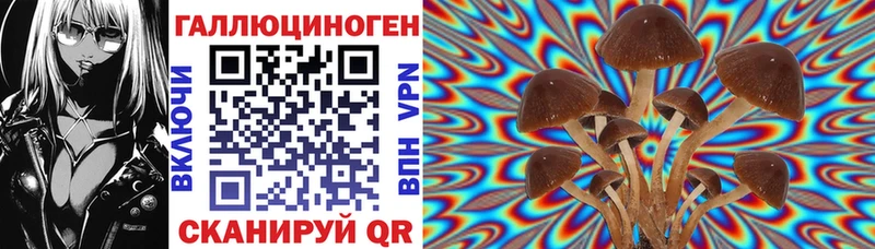 Псилоцибиновые грибы MAGIC MUSHROOMS  Юрьев-Польский 