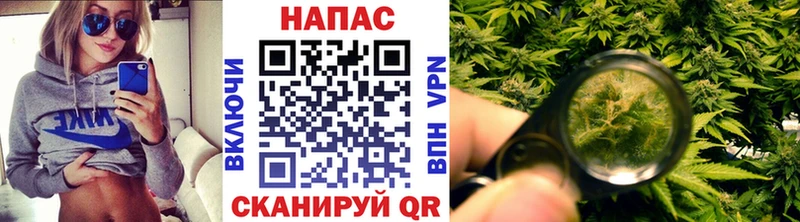 shop состав  Юрьев-Польский  МАРИХУАНА план  МЕГА ONION 